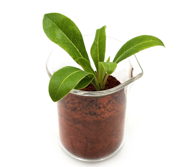 1631858338719769.png image.png